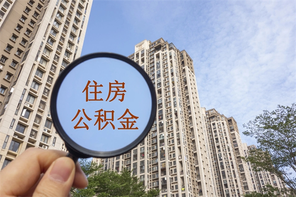 烟台深圳公积金（深圳公积金首页）